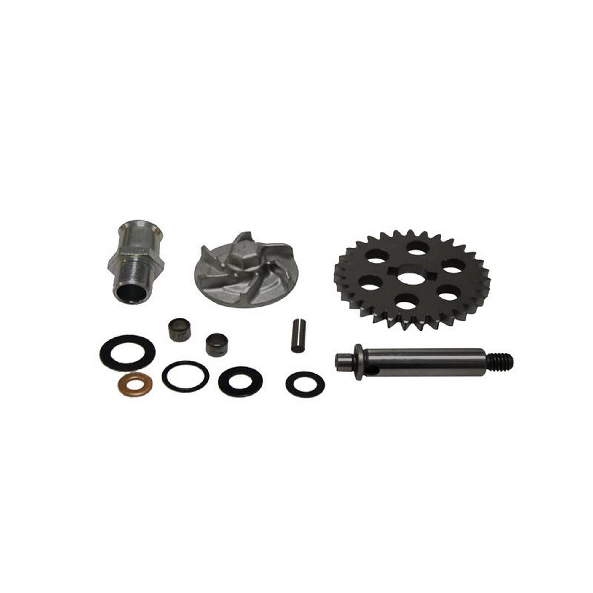 ZONTES ZT200-C DEVİRDAİM POMPASI SET #ZS 0762